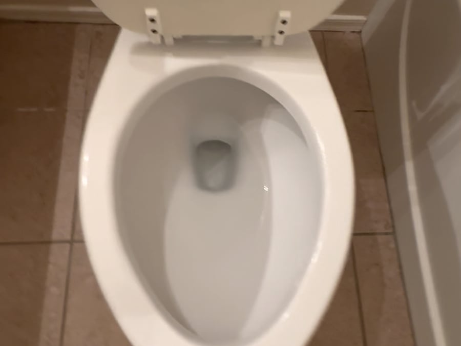 The same toilet scrubbed white and disinfected after our deep clean