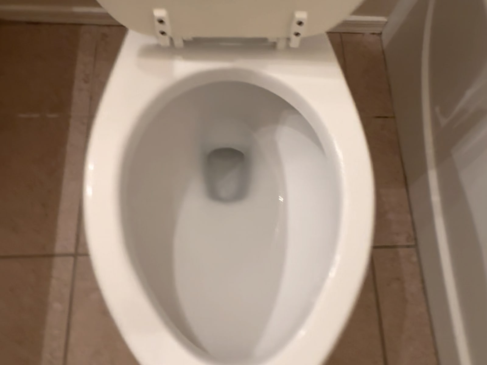 The same toilet bowl scrubbed clean and sanitized after our turnover clean