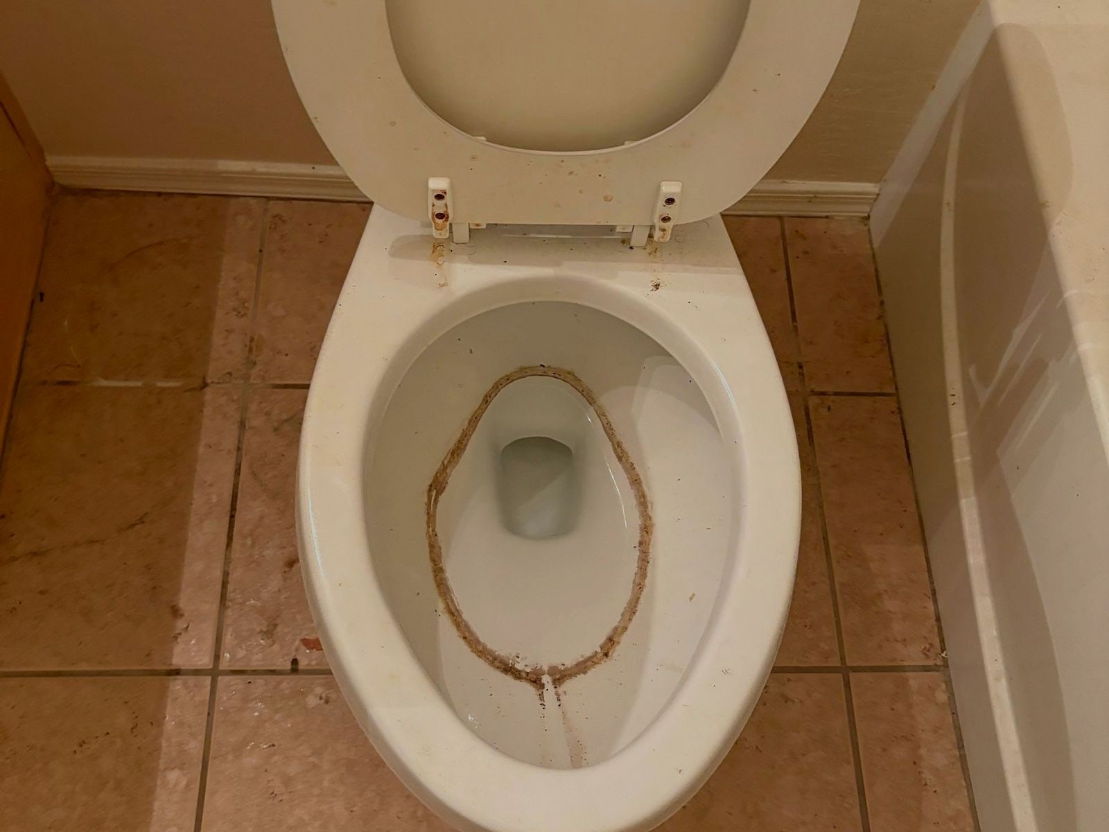 Toilet bowl with a heavy stain ring before a turnover clean